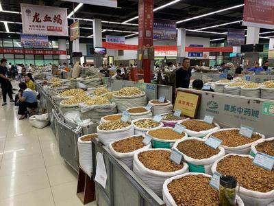 中部崛起勢正勁 安徽亳州如何“抓一把中藥，服下一帖驕傲”？——從傳統藥都到現代商品批發貿易中心的轉型之路