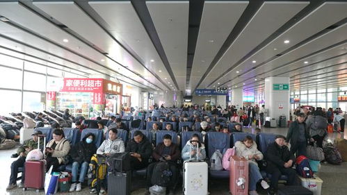 春運(yùn)進(jìn)行時(shí) 長(zhǎng)沙汽車西站客流量攀升，預(yù)計(jì)2月7日迎峰值